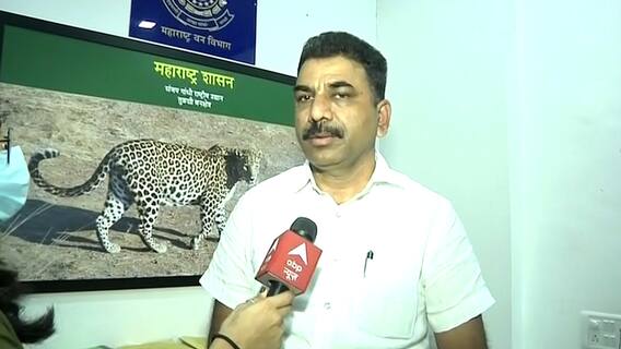 Mumbai में 1 महीने से दहशत फैलाने वाला तेंदुआ पकड़ा गया | Ground Report