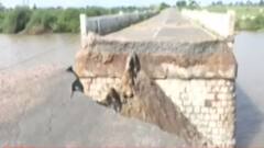 રાજકોટઃ વરસાદના વિનાશથી આ ગામના લોકો થયા ત્રાહિમામ, જુઓ ગુજરાતી ન્યૂઝ