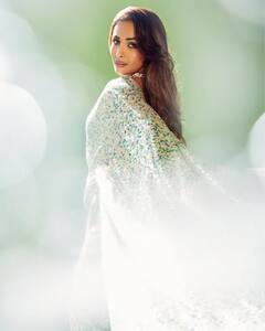 MalaIka Aroraनं घातली Manish Malhotraनं डिझाईनं केलेली साडी, किंमत ऐकून थक्क व्हाल!