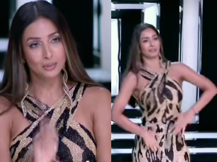 Malaika Arora ने Salman Khan की उतारी नकल और उन्हीं के अंदाज में किया Dabangg डांस, देखें Video Malaika Arora imitated Salman Khan and danced Dabangg in her style watch video Malaika Arora ने Salman Khan की उतारी नकल और उन्हीं के अंदाज में किया Dabangg डांस, देखें Video