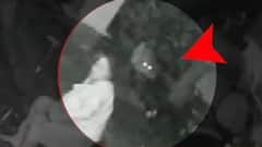 Elderly woman fights off leopard with her walking stick in Mumbai's Aarey colony