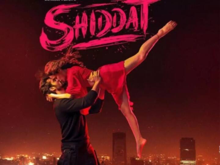 Shiddat Review: Sunny Kaushal, Mohit Raina Leave Mark On Screen Shiddat Review: Sunny Kaushal, Mohit Raina Leave Mark On Screen