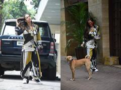 In Pics: घर के बाहर स्ट्रीट डॉग को खाना खिलाते स्पॉट हुईं Malaika Arora, देखें तस्वीरें