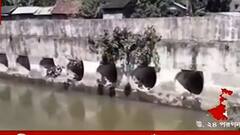 WB Flood Situation: হাবড়ায় বিদ্যাধরী খাল ও সেতু সংস্কারের দাবিতে সরব স্থানীয়রা, বাড়ছে রাজনৈতিক তরজা। Bangla News