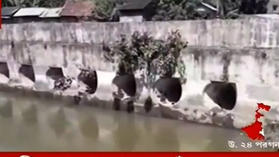 WB Flood Situation: হাবড়ায় বিদ্যাধরী খাল ও সেতু সংস্কারের দাবিতে সরব স্থানীয়রা, বাড়ছে রাজনৈতিক তরজা। Bangla News