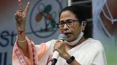 Mamata Banerjee: পুজোর পরই পুরভোট? কী ইঙ্গিত মমতার?। Bangla News
