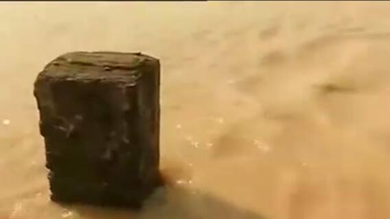 Birbhum: হু হু করে ঢুকছে জল, চোখের সামনে ভেসে যাচ্ছে চাষের জমি, নষ্ট বিঘের পর বিঘে ফসল | Bangla News