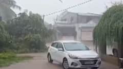 સુરતમાં પણ વરસાદી માહોલ જામ્યો, જુઓ ગુજરાતી ન્યુઝ