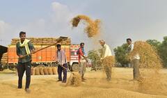 Paddy Procurement in Punjab: ਪੰਜਾਬ 'ਚ 5ਵੇਂ ਦਿਨ 134283.474 ਮੀਟ੍ਰਿਕ ਟਨ ਝੋਨੇ ਦੀ ਖ਼ਰੀਦ, ਮੰਤਰੀ ਭਾਰਤ ਭੂਸ਼ਨ ਆਸ਼ੂ ਦਾ ਦਾਅਵਾ