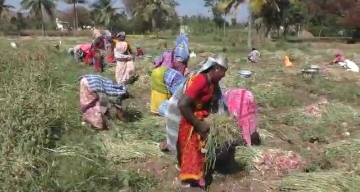 57ஆவது பிறந்தநாளை காணும் தர்மபுரி மாவட்டம்...! - வளர்ச்சி குன்றியதற்கான காரணம் என்ன?