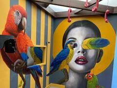 ‘Enchanted Jungle With The Creepy Crawlers’: Inside PICS From ‘Bigg Boss 15’ House