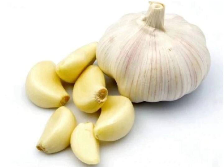 Benefits Of Garlic what does garlic give benefit on empty stomach Benefits Of Garlic: खाली पेट लहसुन खाने के जानिए कितने मिलते हैं फायदे