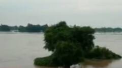 WB Flood Situation: ভাগীরথীর জলে প্লাবিত কাটোয়া, অবস্থার উন্নতি আউশগ্রামে। Bangla News