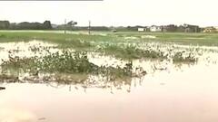 Hooghly: দ্বারকেশ্বর নদের বাঁধ ভেঙে কার্যত জলের তলায় আরামবাগের বিস্তীর্ণ এলাকা | Bangla News