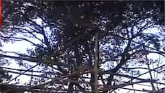 Bengal Flood: উদয়নারায়ণপুরের দুর্গাপুজোয় বাধ সেধেছে বন্যা । Bangla News