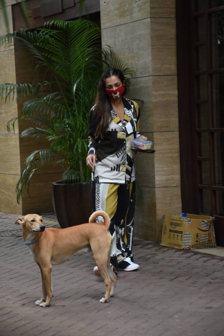 इस दौरान मलाइका को चेहरे पर मास्क लगाए देखा गया.