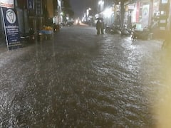 திருவாரூர் மாவட்டத்தில் விடிய விடிய கனமழை- முளைக்கத் தொடங்கிய நெற்பயிர்கள்...!