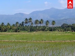 Theni: இரண்டு போகம் நெல் விவசாயம் செய்வதில் சிக்கல்.. காரணம் என்ன?