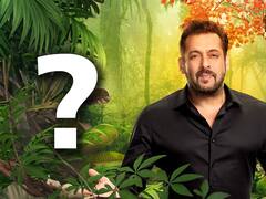 Bigg Boss 15 Contestants List : बिग बॉस 15 मध्ये कोणत्या स्पर्धकांची झाली निवड, जाणून घ्या..