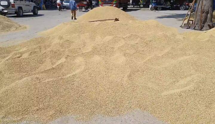 ਮੰਡੀਆਂ 'ਚ ਝੋਨਾ 1960 ਰੁਪਏ ਦੇ ਸਰਕਾਰੀ ਰੇਟ 'ਤੇ ਖਰੀਦਿਆ ਗਿਆ।