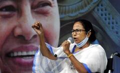 Bhabanipur Bypoll Results: बड़ी जीत की ओर बढ़ रहीं CM Mamata