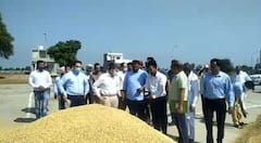 ਝੋਨੇ ਦੀ ਖਰੀਦ ਹੋਈ ਸ਼ੁਰੂ, 1960 ਰੁਪਏ ਦੇ ਸਰਕਾਰੀ ਰੇਟ ਤੇ ਖਰੀਦਿਆ ਗਿਆ ਝੋਨਾ