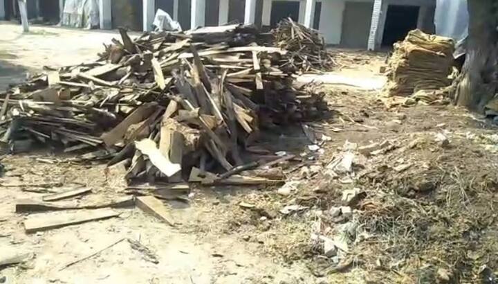 ਸੰਗਰੂਰ ਵਿੱਚ ਵੀ ਅੱਜ ਕਈ ਸਥਾਨਾਂ ‘ਤੇ ਝੋਨੇ  ਦੀ ਬੋਲੀ ਕੀਤੀ ਗਈ। ਖਾਸ ਤੌਰ 'ਤੇ ਡੀਸੀ ਸੰਗਰੂਰ ਨੇ ਵੱਖ-ਵੱਖ ਸਥਾਨਾਂ 'ਤੇ ਜਾ ਕੇ ਅਨਾਜ ਮੰਡੀਆਂ ਵਿੱਚ ਝੋਨੇ ਦੀ ਖਰੀਦ ਸ਼ੁਰੂ ਕਰਵਾਈ।