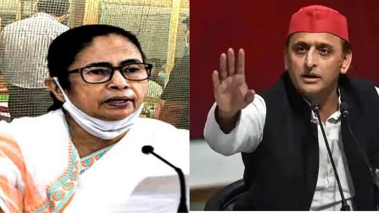 Bhawanipur By-election 2021 Result Akhilesh Yadav congratulate mamata banerjee after huge win Akhilesh Yadav on By-election Result : মমতাদির জয়ই সত্যের জয়, টুইটে শুভেচ্ছা অখিলেশ যাদবের