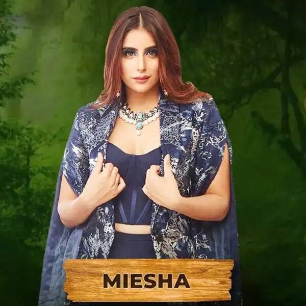 मायशा अय्यर की भी बिग बॉस के घर में एंट्री हुई है.