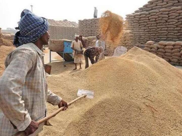 paddy procurement to begin from today in Haryana and Punjab, Centre relents after farmers protests हरियाणा-पंजाब में आज से शुरू होगी MSP पर धान की खरीद, किसानों के विरोध-प्रदर्शन के बाद केंद्र ने बदला फैसला
