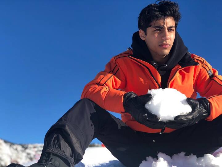 बहुत ही कम लोगों को पता है कि आर्यन खान महंगी कारों का भी शौक रखते हैं. उनके पास कई लग्जरी कारें हैं.