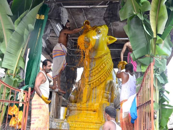 பெரிய நந்தி பகவானுக்கு சந்தன அபிஷேகம் நடைபெற்றது