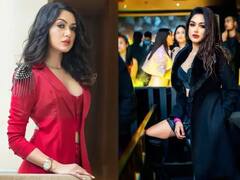 Mumbai Cruise Drug Bust: আরিয়ানের সঙ্গে ক্রুজ পার্টিতে সামিল মুনমুন ধামেচা কে?