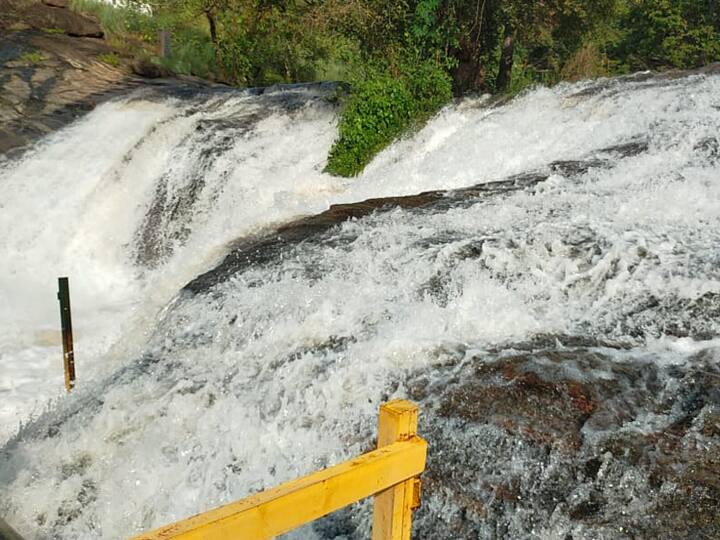 Theni: Kumbakkarai waterfall flooded due to heavy rains in the Western Ghats மேற்கு தொடர்சி மலைகளில் கனமழை - தேனி கும்பக்கரை அருவியில் வெள்ளப்பெருக்கு...!