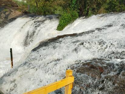 Theni: Kumbakkarai waterfall flooded due to heavy rains in the Western Ghats மேற்கு தொடர்சி மலைகளில் கனமழை - தேனி கும்பக்கரை அருவியில் வெள்ளப்பெருக்கு...!