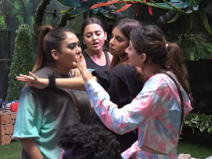 Bigg Boss 15: Afsana Khan Threatens To Hit Vidhi Pandya During Fight, Jay Bhanushali-Pratik Sehajpal War Of Words Video Bigg Boss 15 BIG Fight: Afsana Khan Threatens To Hit Vidhi Pandya. Pratik & Jay Bhanushali Engage In War Of Words