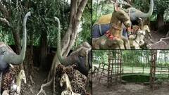 Durga Puja 2021: ৫০০ বছরেরও বেশি পুরনো কেন্দুয়াবুড়িথানের দুর্গাপুজোর নেপথ্যে কোন কাহিনী? | Bangla News