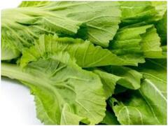 Health Care Tips: इस तरह से सर्दियों में साग को करें स्टोर, नहीं होगा खराब