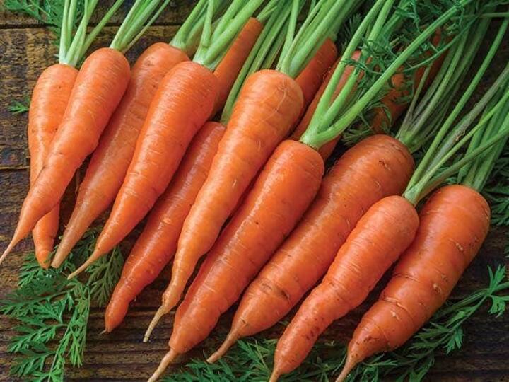 carrot chutney recipe Bachelor Recipe | பயோடின், வைட்டமின், நார்ச்சத்து.. இந்த கேரட் ரெசிப்பியை உடனே ட்ரை பண்ணுங்க..