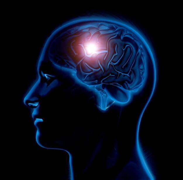 Mild Covid 19 Long Term Effects Shrink Brain Regions Related to Smell- Study Mild Covid 19: মৃদু উপসর্গের কোভিডেও ক্ষতি মস্তিষ্কের? নয়া তথ্য গবেষণায়