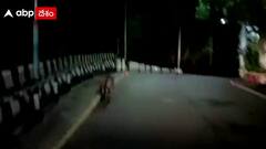 Tirumala News: తిరుమల ఘాట్ రోడ్డులో ప్రమాదకరమైన దృశ్యం