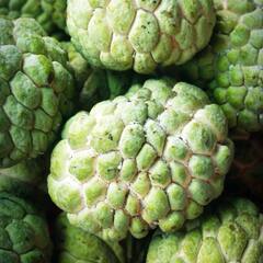 Benefits of Custard Apple : শুধু স্বাদেই নয়, গুণেরও শেষ নেই আতার