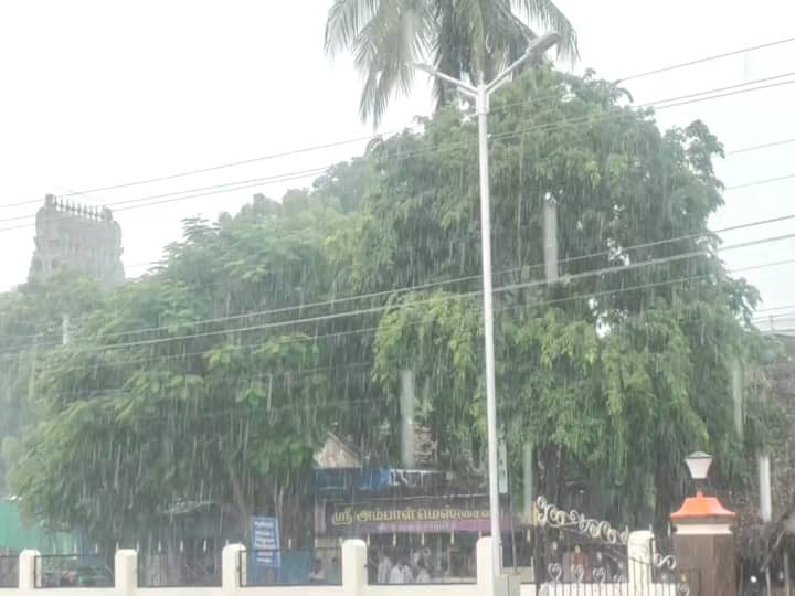 Rain in Mayiladuthurai: Samba farmers happy ...! Concerned Kuruvai farmers ...! மயிலாடுதுறையில் மழை: மகிழ்ச்சியில் சம்பா விவசாயிகள்...! கவலையில் குறுவை விவசாயிகள்...!