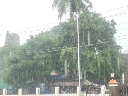 Rain in Mayiladuthurai: Samba farmers happy ...! Concerned Kuruvai farmers ...! மயிலாடுதுறையில் மழை: மகிழ்ச்சியில் சம்பா விவசாயிகள்...! கவலையில் குறுவை விவசாயிகள்...!