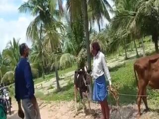 நான் ஆடு மேய்ச்சுத்தரேன்; நீங்க தடுப்பூசி போட்டுக்கோங்க - டாக்டரின் சூப்பர் ஸ்பீச்!
