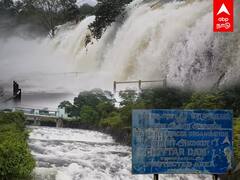 Kanyakumari: தொடர் கனமழை...ஆர்ப்பரித்து கொட்டும் திற்பரப்பு அருவி