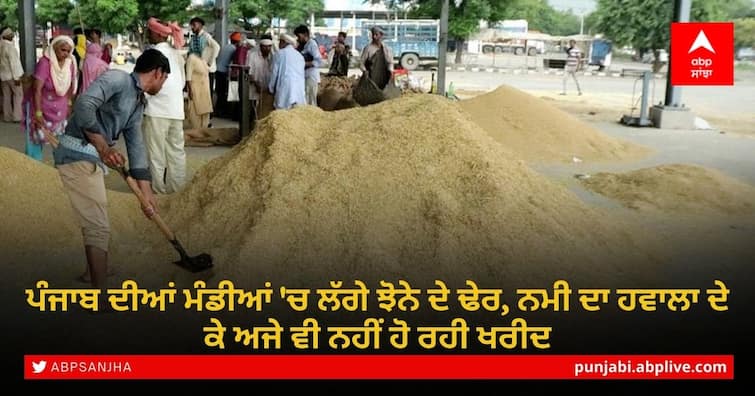 Paddy Procurement in Punjab: Paddy piles in Punjab's mandis are still not being procured citing moisture Paddy Procurement in Punjab: ਪੰਜਾਬ ਦੀਆਂ ਮੰਡੀਆਂ 'ਚ ਲੱਗੇ ਝੋਨੇ ਦੇ ਢੇਰ, ਨਮੀ ਦਾ ਹਵਾਲਾ ਦੇ ਕੇ ਅਜੇ ਵੀ ਨਹੀਂ ਹੋ ਰਹੀ ਖਰੀਦ