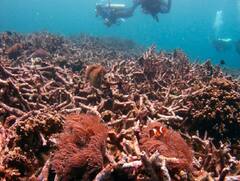 Global warming | வெப்பமயமாகும் பூமியால் ஏற்படப்போகும் சிக்கல்.. பகீர் கிளப்பிய ஆய்வறிக்கை!