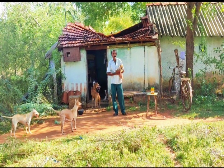 ‛இதுக தான் என்னோட உலகம்... இதுக இல்லாட்டி...’ நாய்களுக்காக வாழ்க்கையை அர்ப்பணித்த வெங்கி!