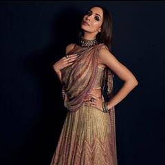 Malaika Arora साड़ी लुक में देती हैं मॉडर्न स्टाइलिश लुक, देखें उनकी PHOTOS